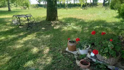 Jardin de l'établissement le marly's