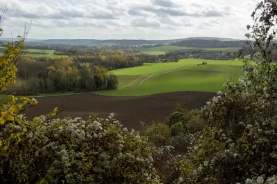 Paysage naturel près de la maison de vacances
