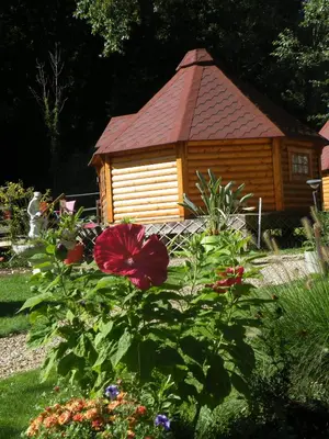 Jardin de l'établissement kotas-Esprit Nordique