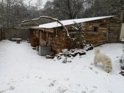 L'établissement La Cabane Aux Loups en hiver