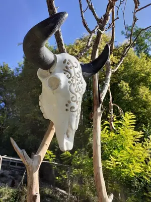 Jardin de l'établissement La Cabane Aux Loups