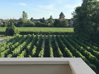 Jardin de l'établissement VILLA 87 - AY CHAMPAGNE