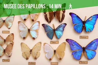 Plan de l'établissement Comme à la Maison - BELLEVUE