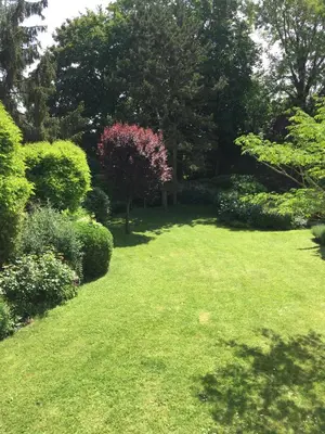 Jardin de l'établissement Maison d'Hôtes Joussaume Latour
