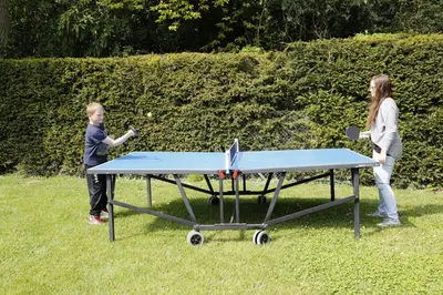 Tennis de table au sein de l'établissement Gîtes Ciel Bleu ou à proximité
