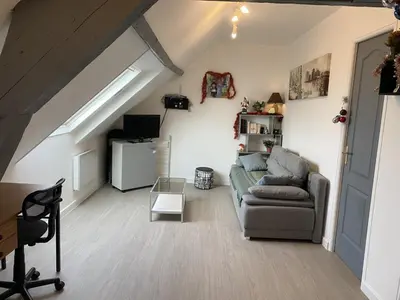 Télévision ou salle de divertissement dans l'établissement Gites Plein Ciel
