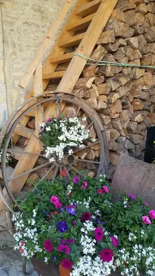 Jardin de l'établissement La Grange en Champagne