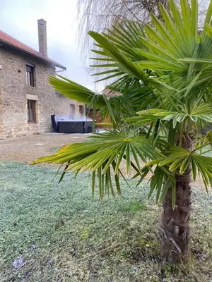 Jardin de l'établissement auberge du pied des monts