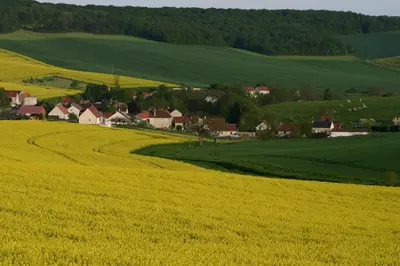 Paysage naturel près de le B&B/chambre d'hôtes