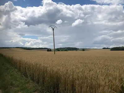 Paysage naturel près de la maison de vacances