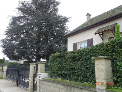 Jardin de l'établissement Gîte du Grand Cèdre