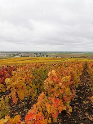 Paysage naturel près de le B&B/chambre d'hôtes