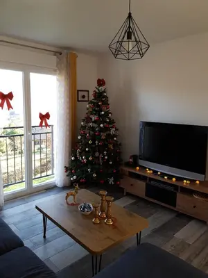 Télévision ou salle de divertissement dans l'établissement Gîte le Haut Rivage