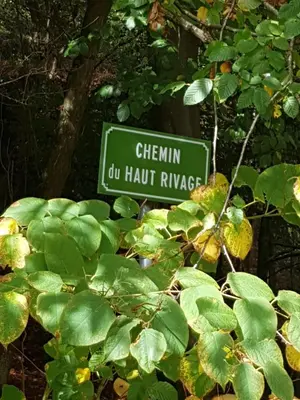 Plan de l'établissement Gîte le Haut Rivage