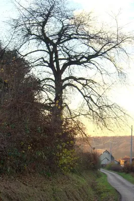 Paysage naturel près de la maison de vacances