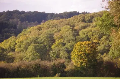 Paysage naturel près de la maison de vacances