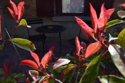Jardin de l'établissement Maison indépendante à la campagne
