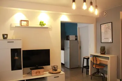 Télévision ou salle de divertissement dans l'établissement Studio hyper centre ville Épernay - Champagne