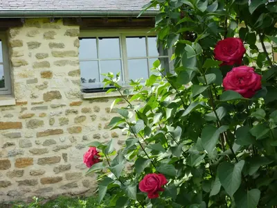 Jardin de l'établissement 4 Collines
