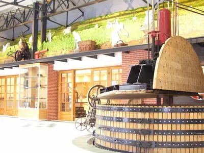 Plan de l'établissement Maison 3 chambres 6 pers Enjoy en Champagne Jardin et Parking