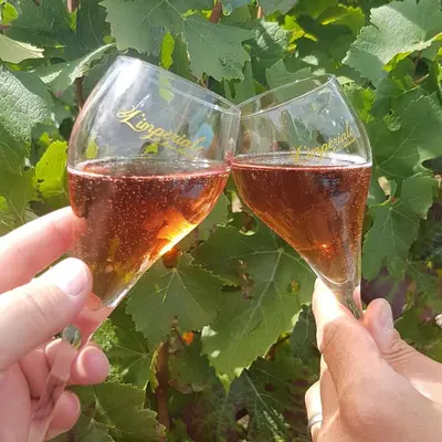Boissons dans l'établissement Le Cocon à Ay-Champagne Escapade romantique & dégustation de Champagne