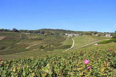 Paysage naturel près de l'appartement
