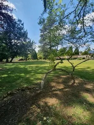 Jardin de l'établissement Chambres d'Hôtes des Rouets