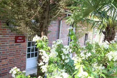 Jardin de l'établissement Les Jardins Carnot