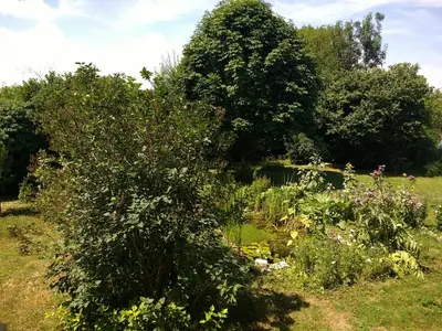 Jardin de l'établissement Chatrou