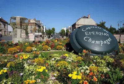 Jardin de l'établissement Appartement Aventure à Épernay