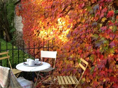 Jardin de l'établissement La Demeure des Sacres - Cathédrale