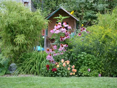 Jardin de l'établissement Les Célestines