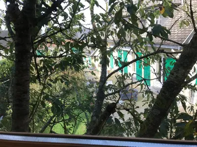 Jardin de l'établissement Cabane du hérisson