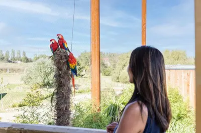 Jardin de l'établissement Parrot World - Les Lodges