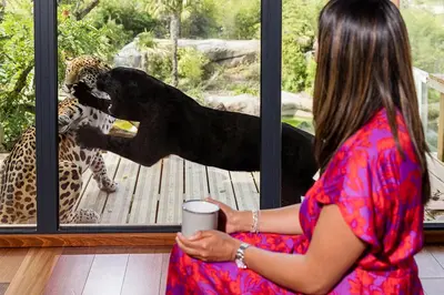 Animaux dans le lodge ou à proximité
