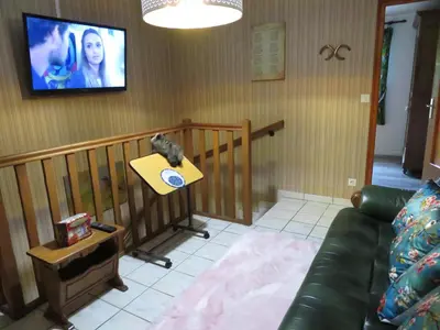Télévision ou salle de divertissement dans l'établissement Gîte La Volette