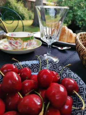 Nourriture dans le B&B/chambre d'hôtes ou à proximité
