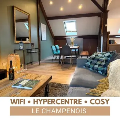LE CHAMPENOIS-Appartement central près de l' Avenue de Champagne