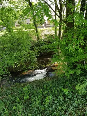 Paysage naturel près de l'appartement