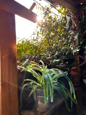 Jardin de l'établissement La Cabane des Trappeurs