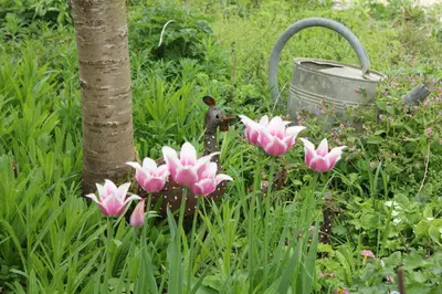 Jardin de l'établissement Le Presbytère de Sévigny