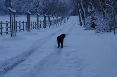 L'établissement Le Domaine de Prin en hiver