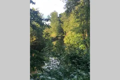 Paysage naturel près de l'appartement