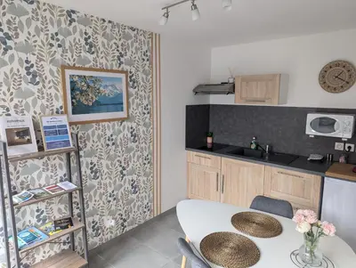 Cuisine ou kitchenette dans l'établissement Studio Les chambres de la source - Milouin