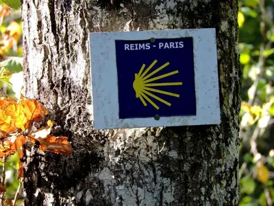 Certificat, récompense, panneau ou autre document affiché dans l'établissement La Cabane