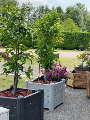 Jardin de l'établissement Eqynox Hotel