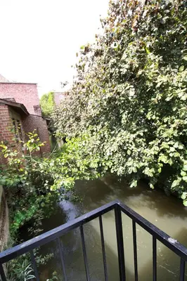 Paysage naturel près de l'appartement
