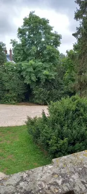 Jardin de l'établissement Demeure de la Garenne