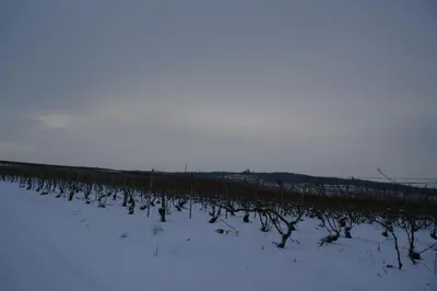 L'établissement Entre Phare et Moulin en hiver
