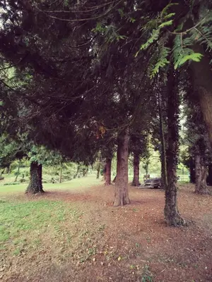 Jardin de l'établissement Studio 8